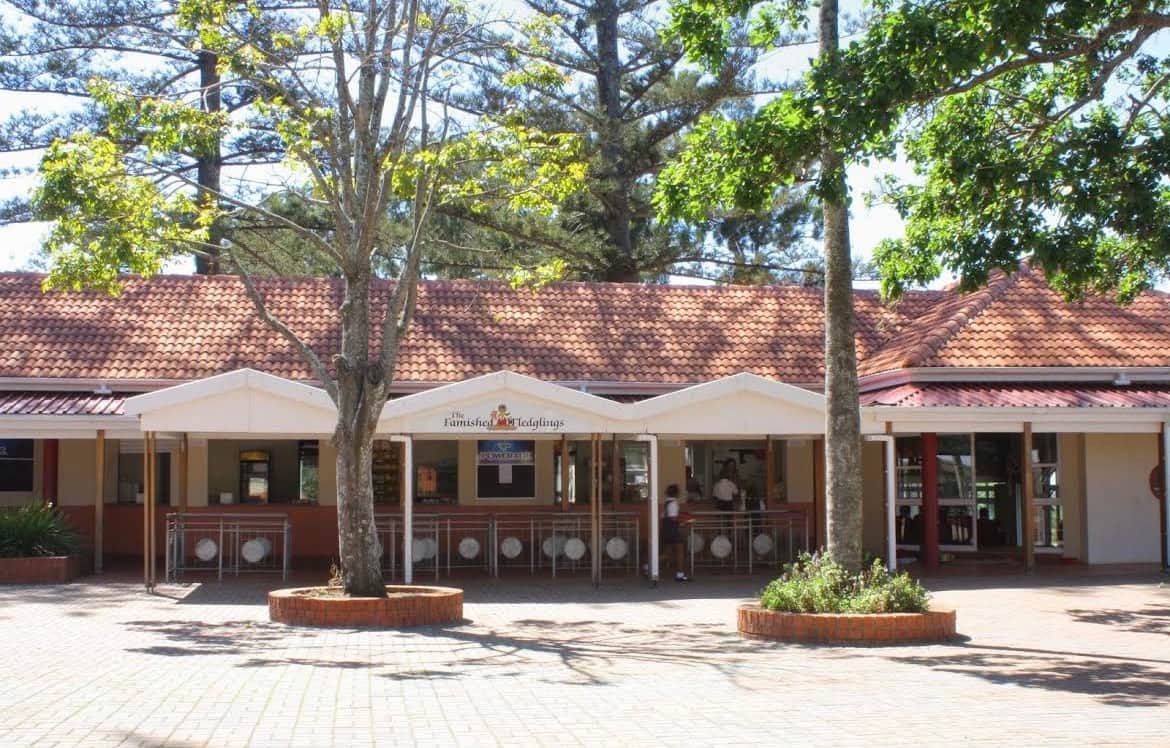 Hudson Park Primary School image 3