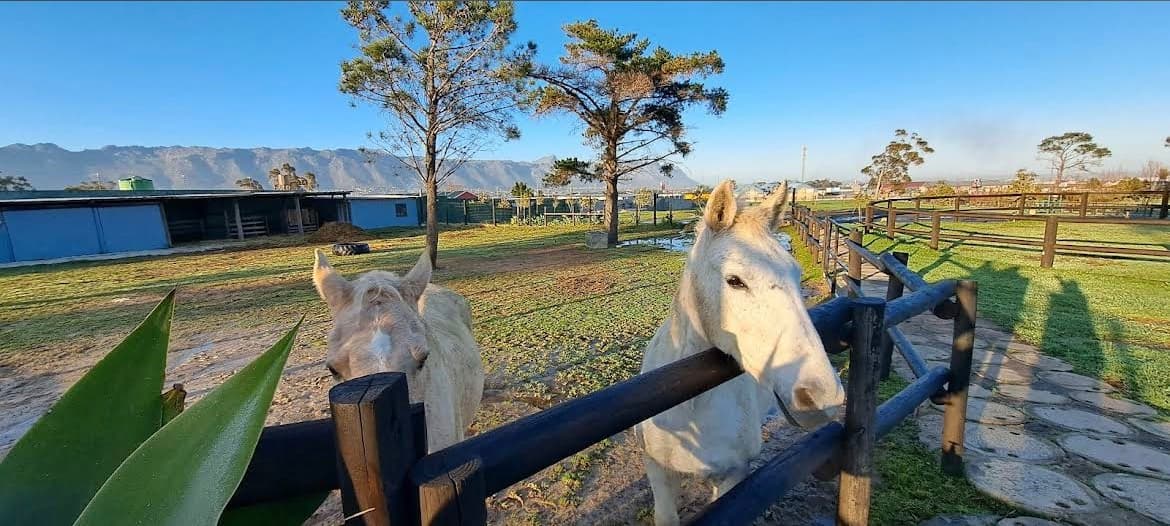 MONDEOR ECO SCHOOL - School building exterior
